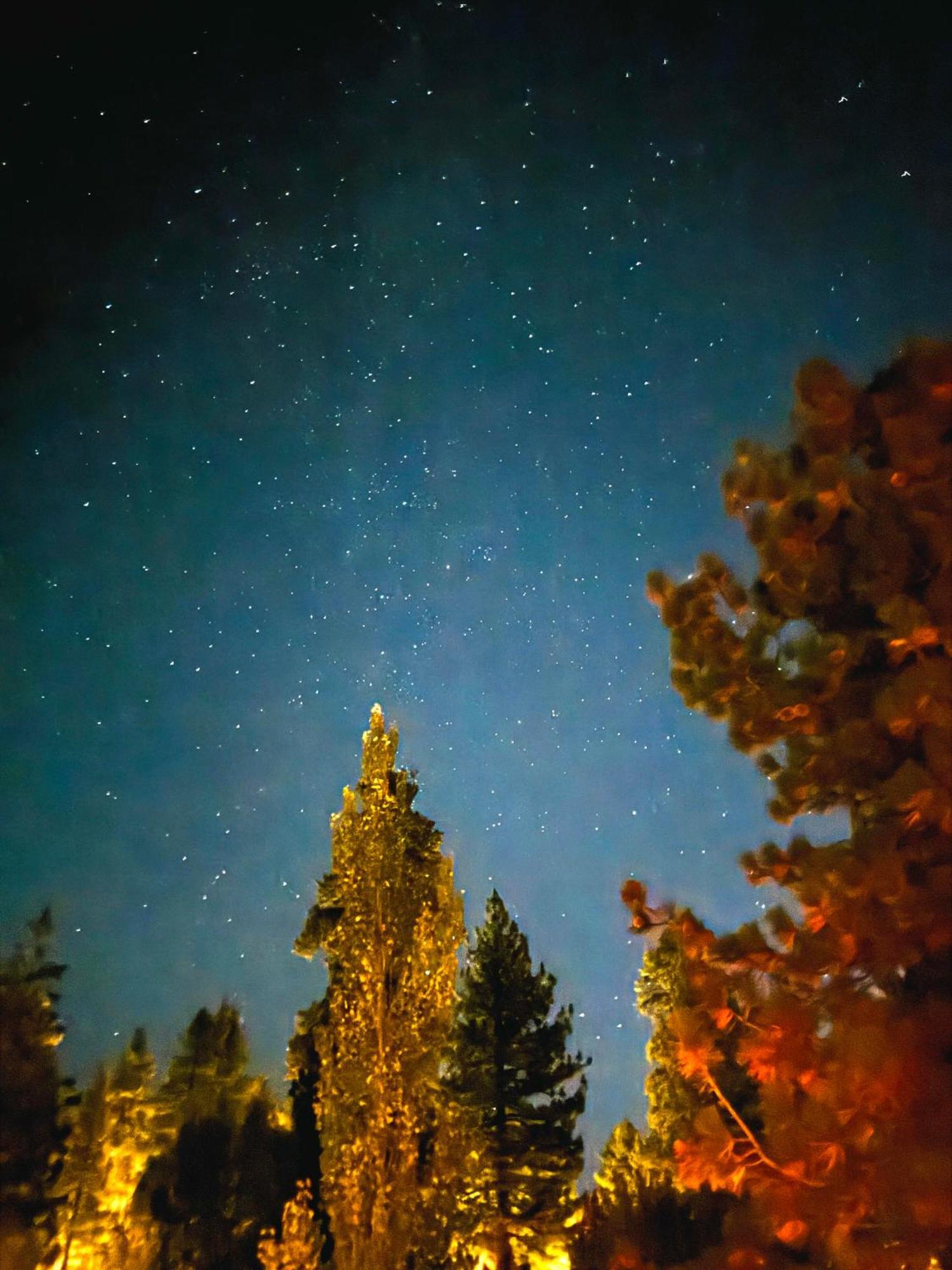 1 B1B Lake Cabin/Walk To Lake/Boulder Bay Park Big Bear Lake Exterior foto